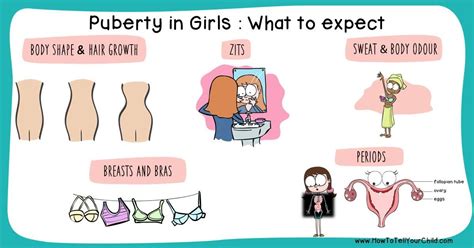 teen sex bilder|Stages of Puberty Explained in Pictures